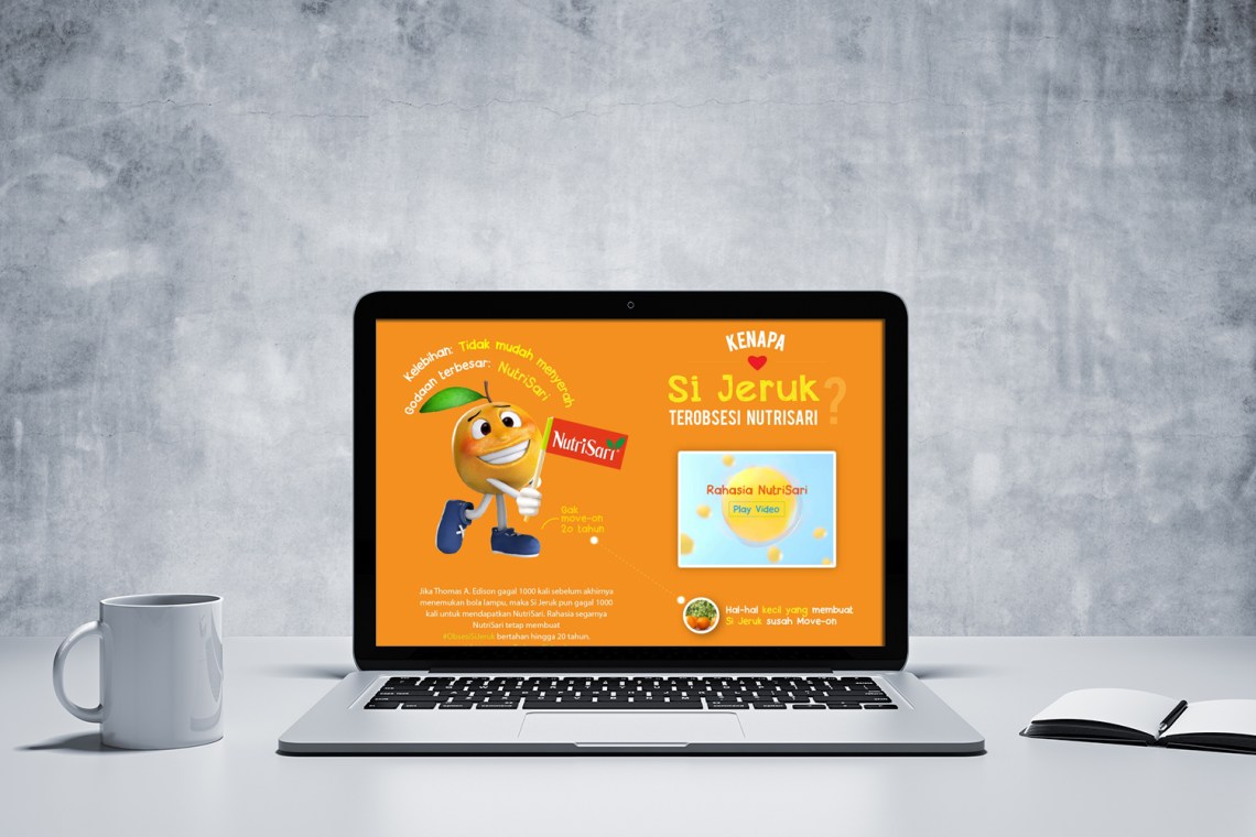 NS WEBSITE about NS display